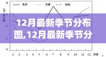 全面解读，最新12月季节分布图产品特性、使用体验与竞品对比