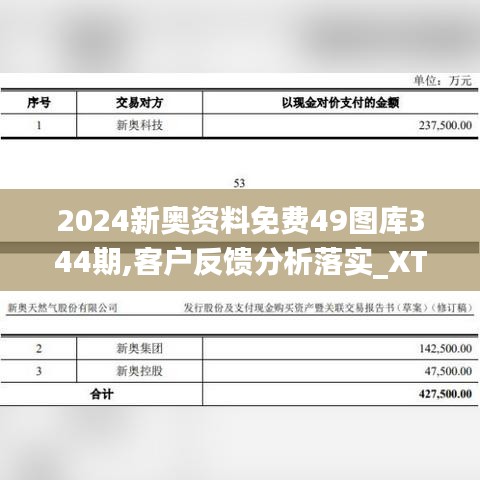 2024新奥资料免费49图库344期,客户反馈分析落实_XT6.786