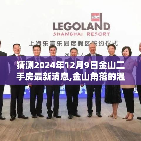 揭秘未来金山二手房市场，角落的温馨故事与最新消息，展望2024年金山家园的未来温暖与秘密。