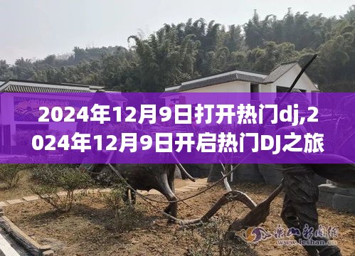 从零开始，热门DJ之旅启程指南——2024年12月9日开启新征程
