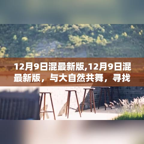 12月9日混最新版，舞动自然，探寻内心桃花源