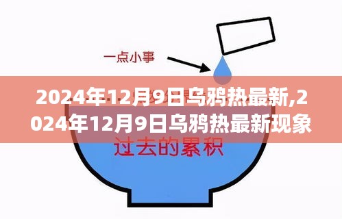 透视乌鸦热现象，正反影响及观点分析（2024年12月9日最新动态）
