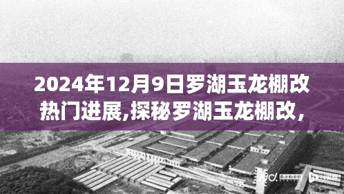 凿壁偷光 第4页