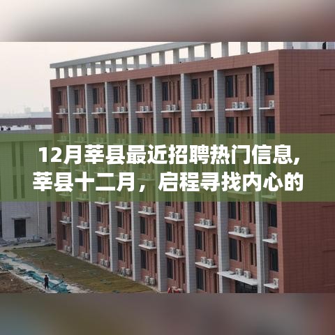 莘县十二月热门招聘信息，寻找内心的宁静与美景之旅