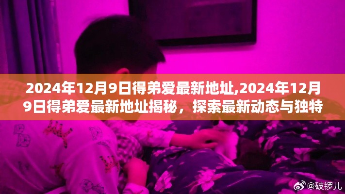 揭秘，最新地址下的得弟爱独特体验与动态探索（2024年12月9日更新）