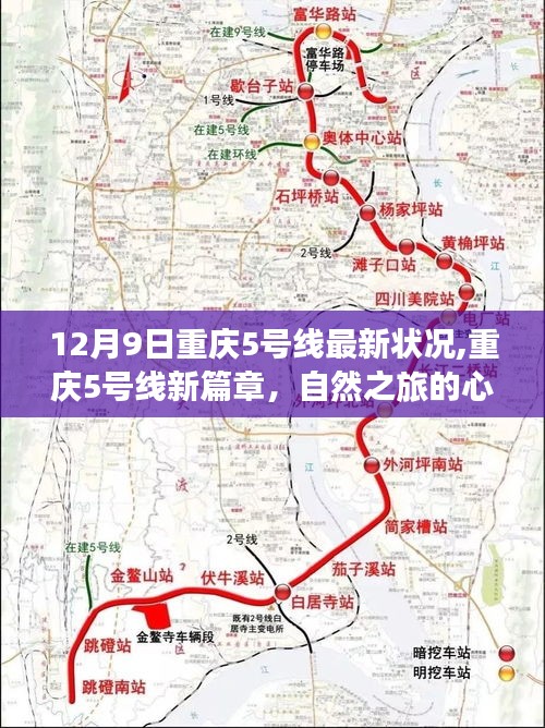 重庆5号线最新进展，自然之旅的心灵觉醒篇章