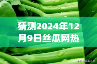 把握未来丝瓜网趋势，2024年12月9日丝瓜网热门展望与变化成就梦想