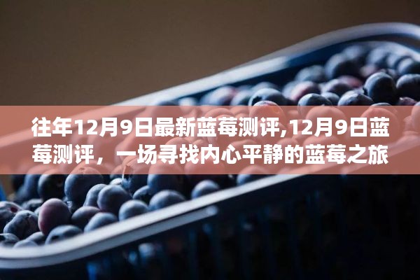 『寻找内心平静的蓝莓之旅，最新蓝莓测评报告』