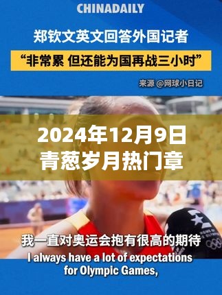 青葱岁月热门章节张洋，特性、体验、竞品对比与用户分析报告（2024年）