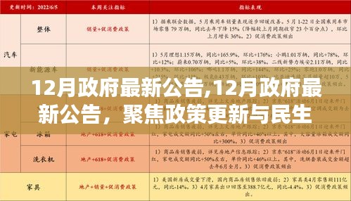 聚焦政策更新与民生改善，政府最新公告解读（十二月版）