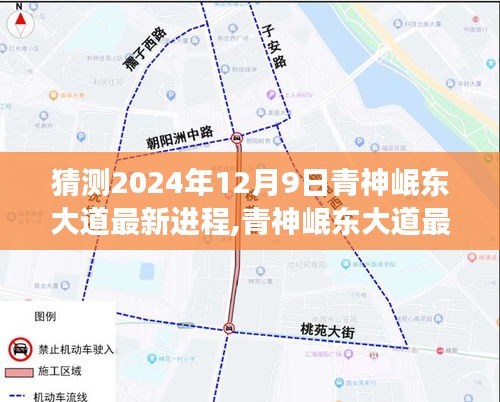 2024年12月9日青神岷东大道最新进展预测分析与深度评测揭秘