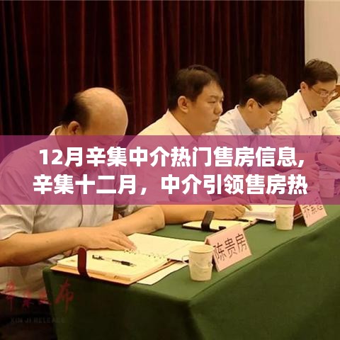 辛集十二月中介售房热潮，学习、自信与成就感的源泉