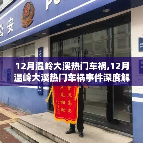 逆风飞扬 第3页