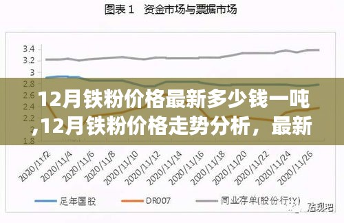 12月铁粉价格走势分析，最新市场报价与影响因素探讨