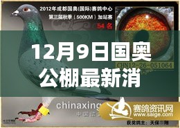 揭秘国奥公棚隐藏特色小店，小巷深处的独特风味与最新探访消息（12月9日）