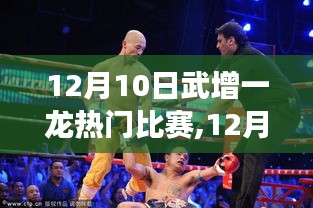 独家解析，武增一龙巅峰对决，全方位解读热门比赛盛况