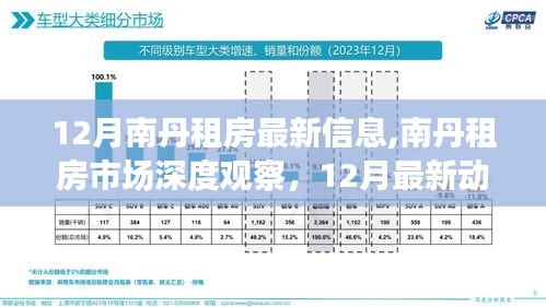 12月南丹租房市场深度观察，最新动态与影响探析