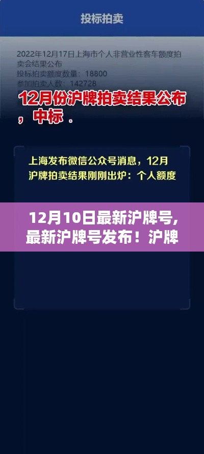 12月10日沪牌号最新动态，发布、摇号、新动向一网打尽