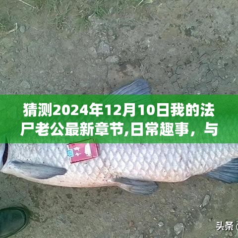 独家揭秘，与法尸老公的温馨日常——2024年特别章节猜想与日常趣事回顾