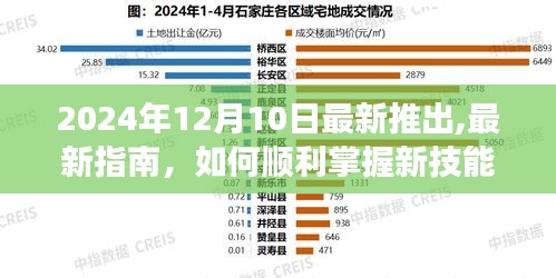 初学者指南，掌握新技能的步骤详解（2024年最新版）