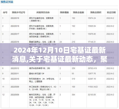关于宅基证最新动态，聚焦更新消息与未来趋势（2024年12月版）