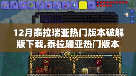 泰拉瑞亚破解版下载背后的探索与反思，一个时代的犯罪议题探讨