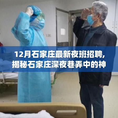 揭秘石家庄深夜巷弄神秘小店，夜班招聘新风尚，探索未知机遇！