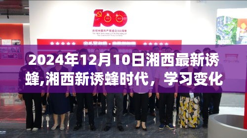 湘西新诱蜂时代，学习变化，自信成就未来之路（2024年12月10日最新诱蜂资讯）