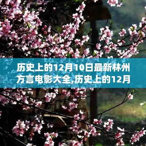 历史上的12月10日林州方言电影盛宴，与自然共舞的心灵之旅