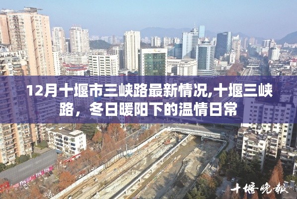十堰市三峡路最新动态，冬日暖阳下的温情日常