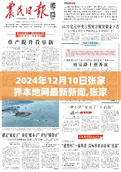 张家界本地网新闻快报，最新资讯速递（2024年12月10日）