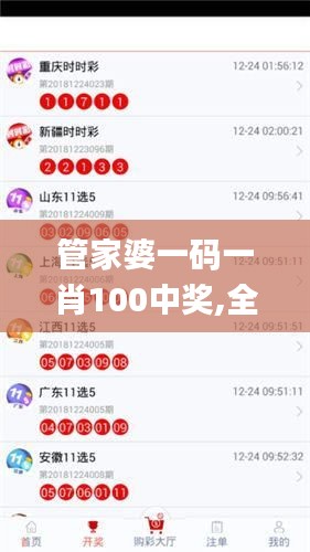 管家婆一码一肖100中奖,全面实施策略数据_UHD版2.170