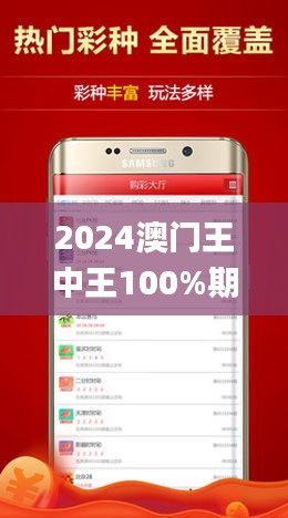 2024澳门王中王100%期期中,权威诠释方法_专属款1.628