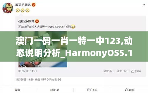 澳门一码一肖一特一中123,动态说明分析_HarmonyOS5.124