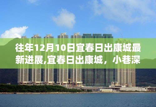 宜春日出康城最新进展揭秘，小巷深处的惊喜宝藏与最新动态速递