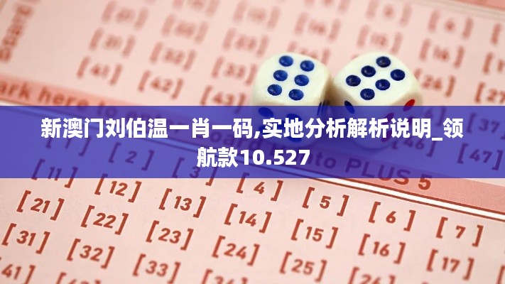 新澳门刘伯温一肖一码,实地分析解析说明_领航款10.527