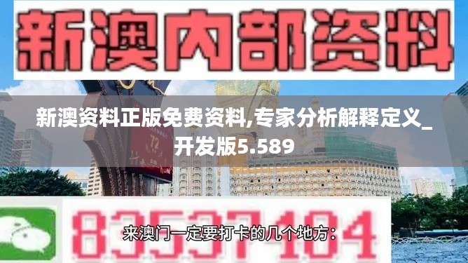 新澳资料正版免费资料,专家分析解释定义_开发版5.589