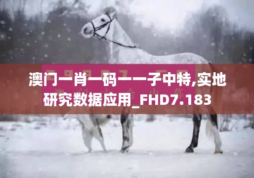 澳门一肖一码一一子中特,实地研究数据应用_FHD7.183