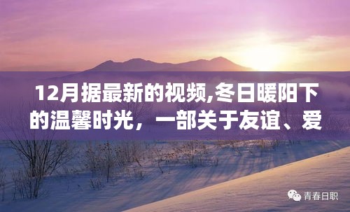 冬日暖阳下的温馨日常，友谊、爱与陪伴的十二月故事