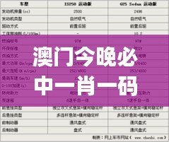 澳门今晚必中一肖一码恩爱一生,数据分析驱动解析_扩展版8.176