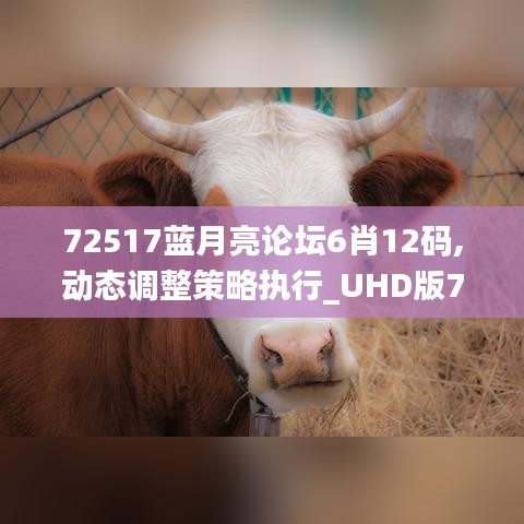 72517蓝月亮论坛6肖12码,动态调整策略执行_UHD版7.693