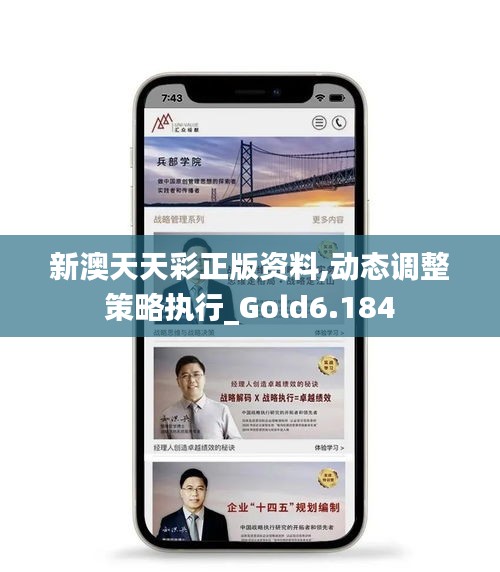 新澳天天彩正版资料,动态调整策略执行_Gold6.184