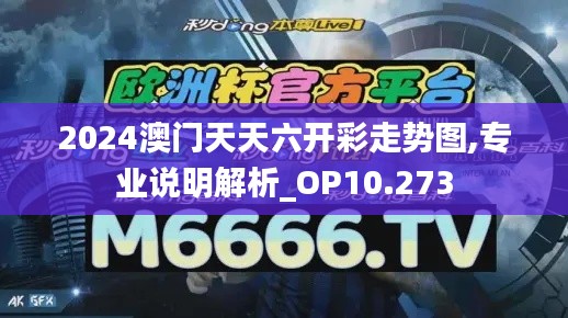 2024澳门天天六开彩走势图,专业说明解析_OP10.273
