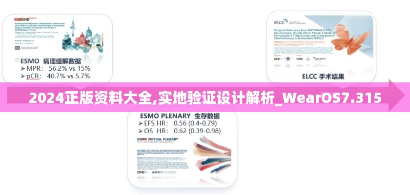 2024正版资料大全,实地验证设计解析_WearOS7.315