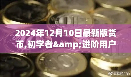初学者与进阶用户必备指南，掌握未来货币使用技巧，2024年最新版货币指南