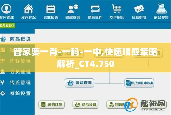 管家婆一肖-一码-一中,快速响应策略解析_CT4.750