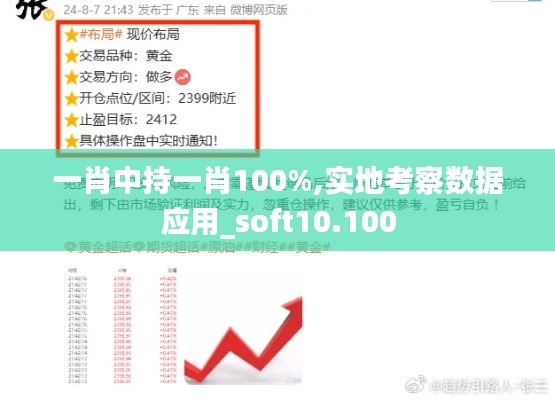 一肖中持一肖100%,实地考察数据应用_soft10.100
