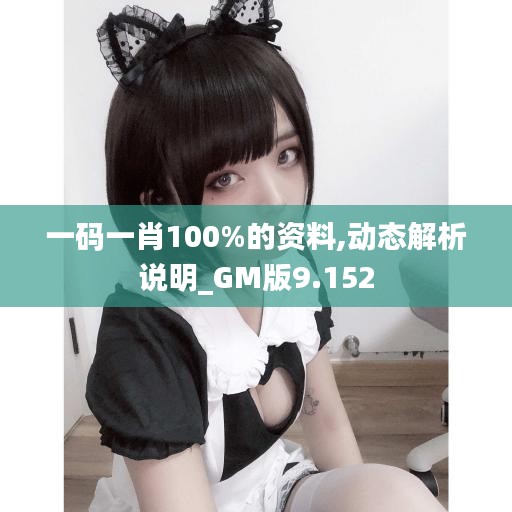 一码一肖100%的资料,动态解析说明_GM版9.152