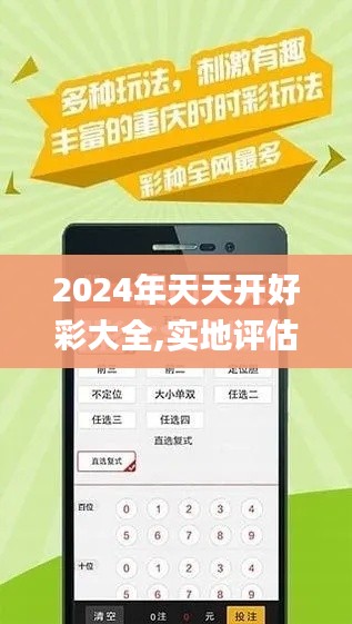 2024年天天开好彩大全,实地评估解析说明_4DM13.677