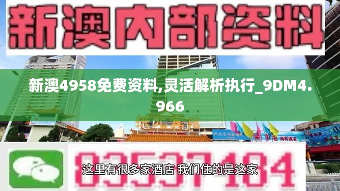 新澳4958免费资料,灵活解析执行_9DM4.966